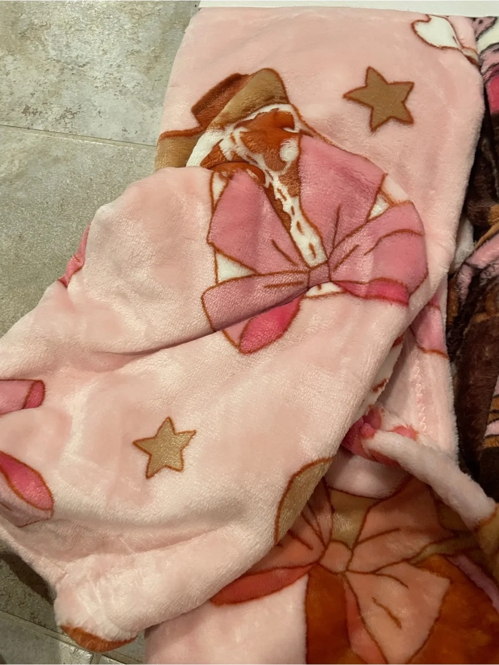 NWT Jessica Simpson Cowgirl Western Themed Two- Pack Pet Blankets